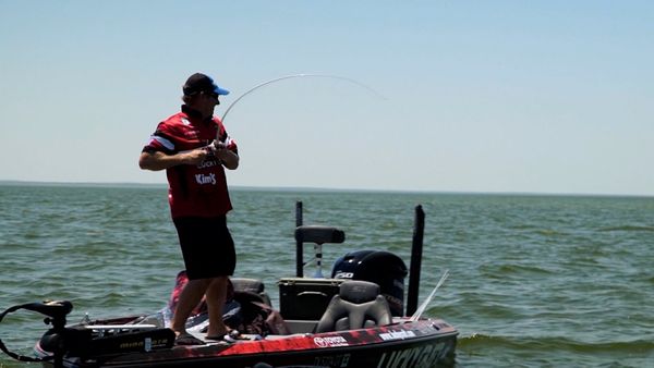 Monster Fish - Season Countdown