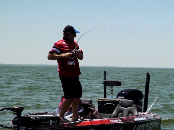Monster Fish - Season Countdown