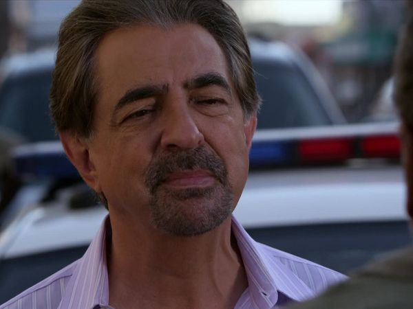 Criminal Minds - The Fallen