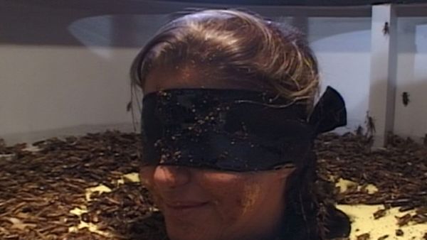 Fear Factor Australia - Episode 4