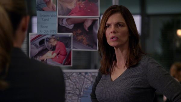 Criminal Minds - Perennials
