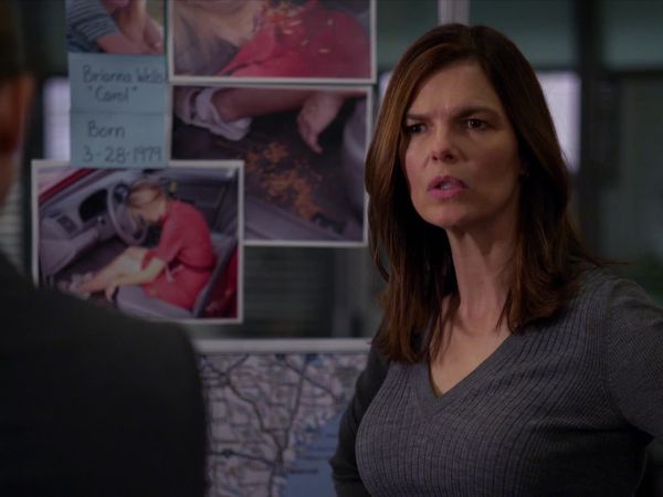 Criminal Minds - Perennials