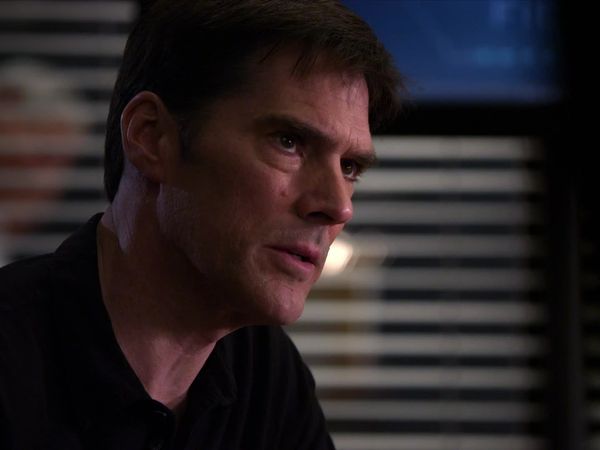 Criminal Minds - Brothers Hotchner