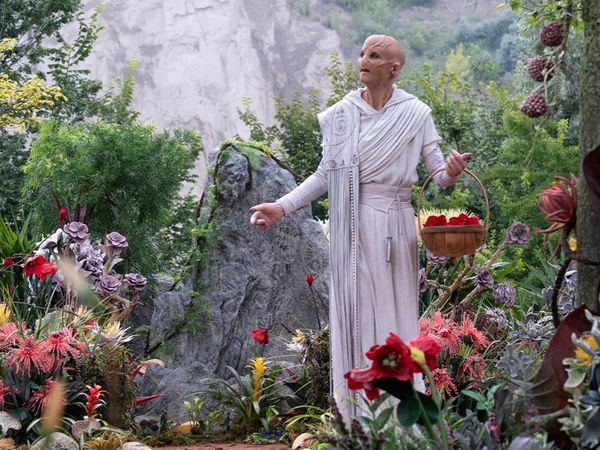 Star Trek: Discovery - Donnergrollen