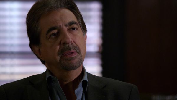 Mentes criminales - La buena tierra