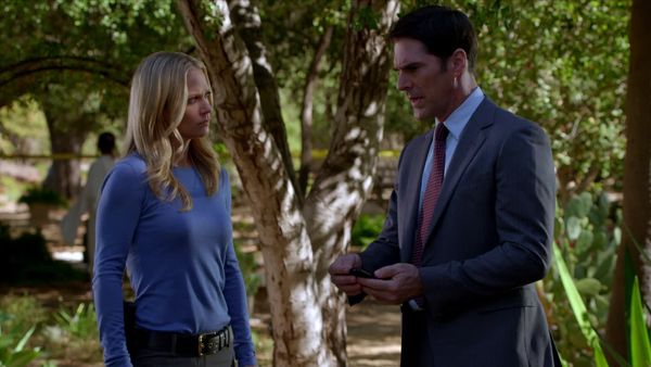 Mentes criminales - Perennes