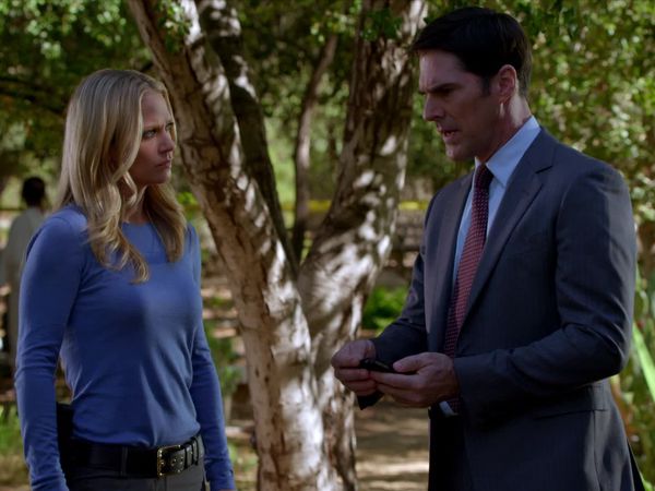 Mentes criminales - Perennes