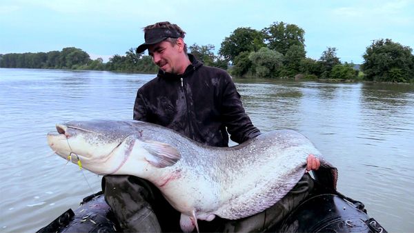 Big River - Rhein