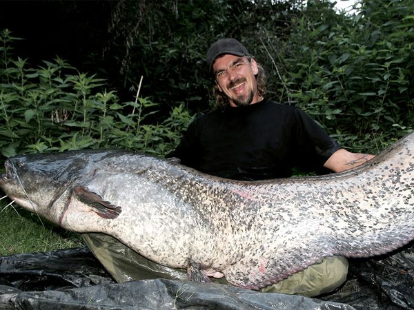 Big River - Altrheinarm