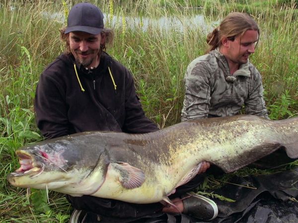 Big River - Rott