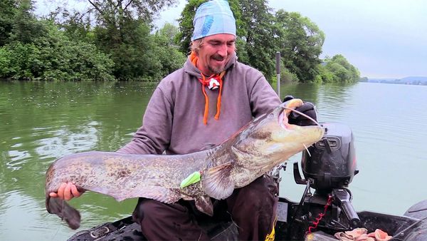 Big River - Donau