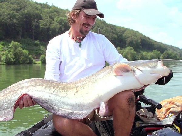 Big River - Donau