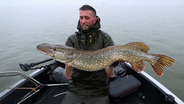 Riverfighters - Der Geheime See - Hier gibt es nur Meterhechte