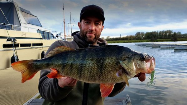 Riverfighters - Barschangeln mit dem Drop Shot Rig & Gummikrebs