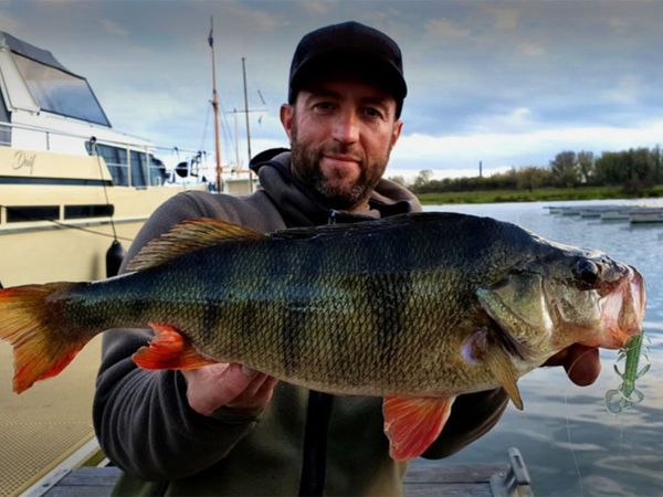 Riverfighters - Barschangeln mit dem Drop Shot Rig & Gummikrebs