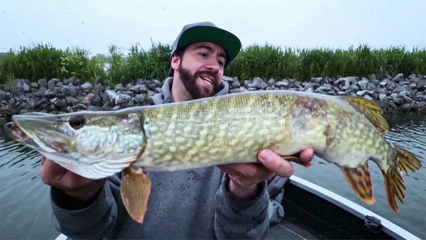 Riverfighters - Killervögel greifen Angler an