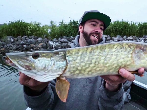 Riverfighters - Killervögel greifen Angler an