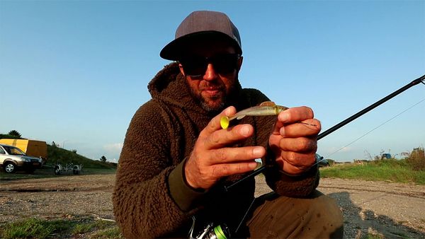 Riverfighters - Auf Zander angeln vom Ufer am Fluss - So jiggst du die Buhnen richtig aus