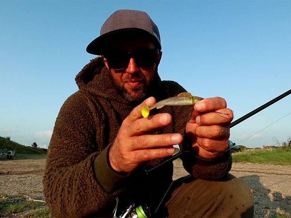 Riverfighters - Auf Zander angeln vom Ufer am Fluss - So jiggst du die Buhnen richtig aus