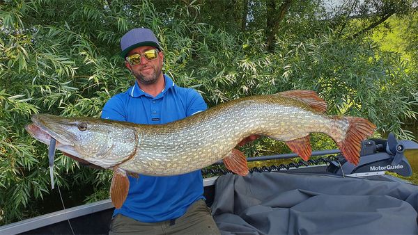 Riverfighters - Livebiss 130cm + Hecht-Angeln auf Flussmonster bei Hochwasser in den Büschen