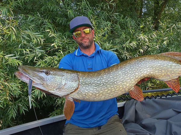 Riverfighters - Livebiss 130cm + Hecht-Angeln auf Flussmonster bei Hochwasser in den Büschen