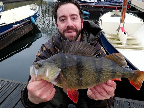Riverfighters - Barsch Eskalation - Angeln mit Naturködern am Drop-Shot Rig