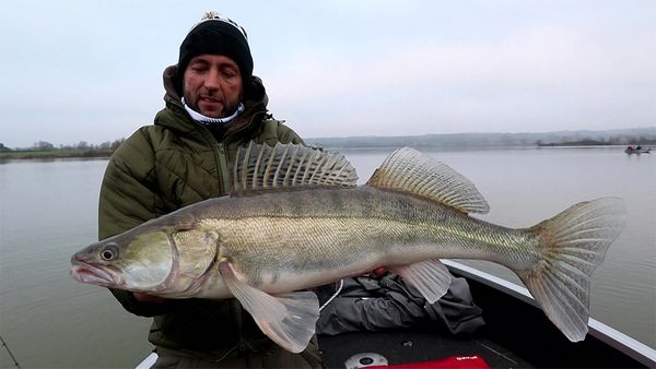 Riverfighters - Angeln auf Rekord-Hechte und XL-Zander pelagisch im Freiwasser