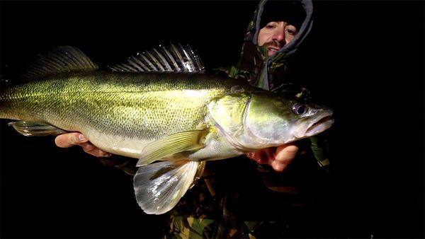 Riverfighters - Große Zander und dicke Hechte