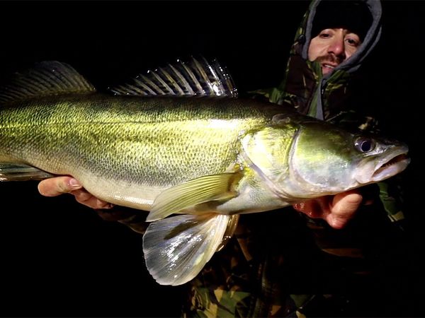 Riverfighters - Große Zander und dicke Hechte