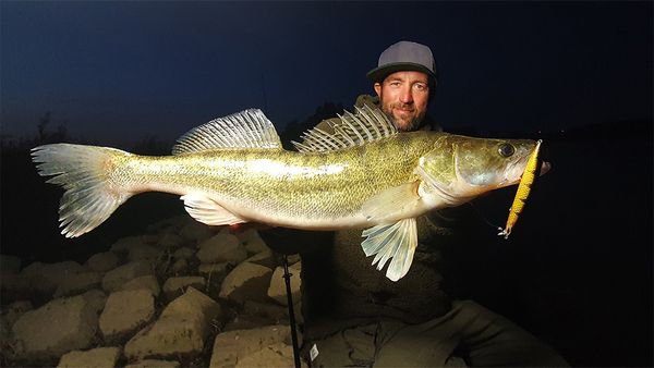Riverfighters - Zander auf Zander - Mit dem Wobbler richtig auf Zander angeln