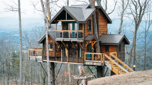 Tiny BNB - Tiny Life in the Trees