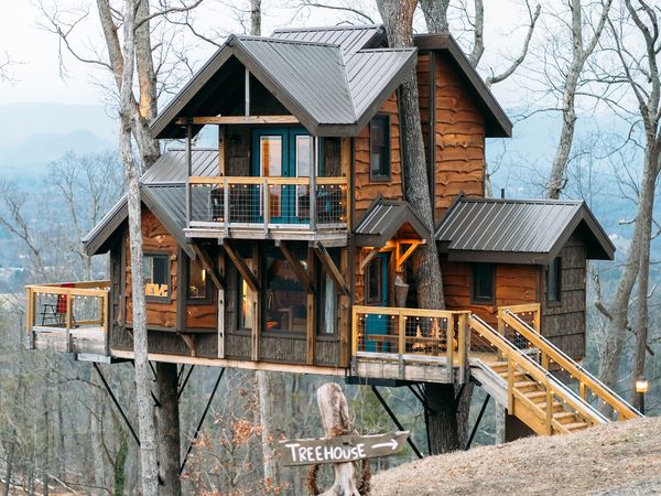 Tiny BNB - Tiny Life in the Trees