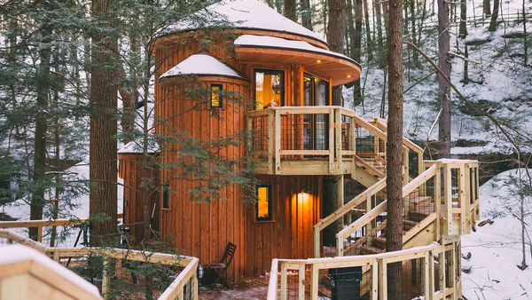 Tiny BNB - Ultimate Treetop Getaways