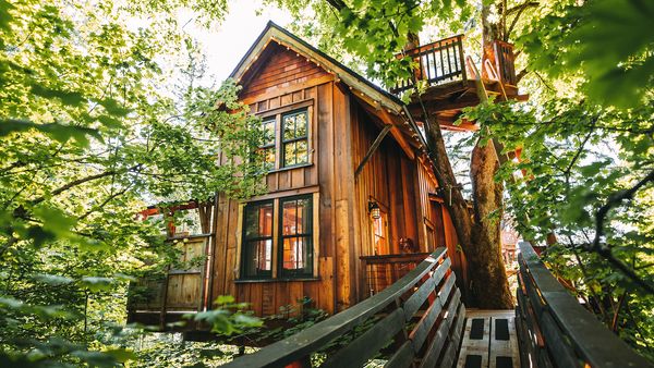 Tiny BNB - Magic Among the Trees