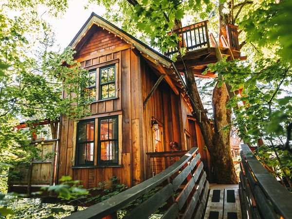 Tiny BNB - Magic Among the Trees