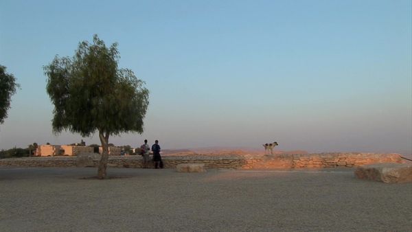 Miracles of Nature - Southern & Northern Israel