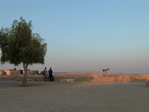 Miracles of Nature - Southern & Northern Israel