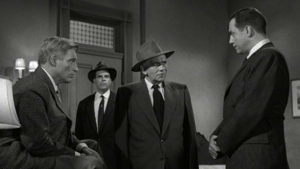 Perry Mason - Der Fall mit der Laus im Pelz