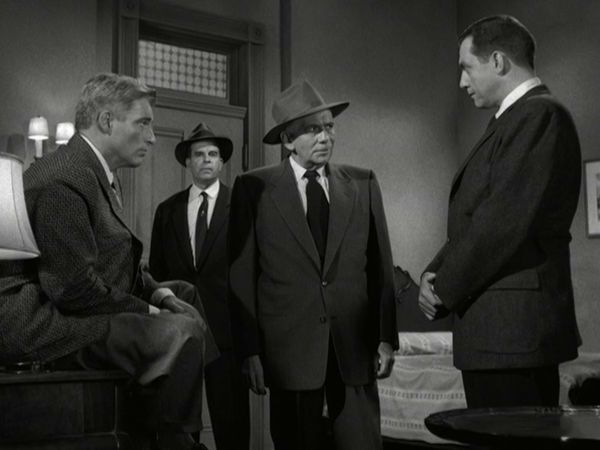 Perry Mason - Der Fall mit der Laus im Pelz