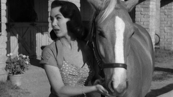 Perry Mason - Der Fall mit dem blutigen Fächer