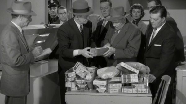 Perry Mason - Der Fall mit dem hässlichen Entlein