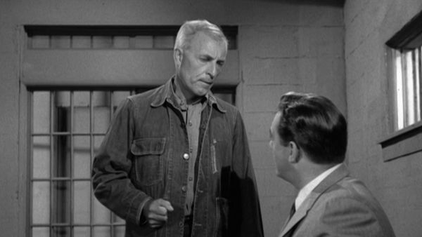 Perry Mason - Der Fall mit dem schiefen Stammbaum
