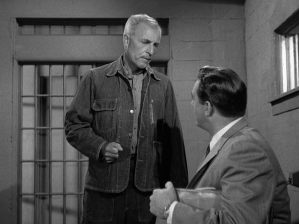 Perry Mason - Der Fall mit dem schiefen Stammbaum