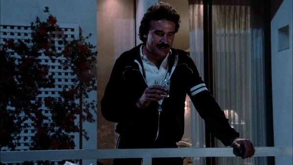 Dynasty - The Engagement