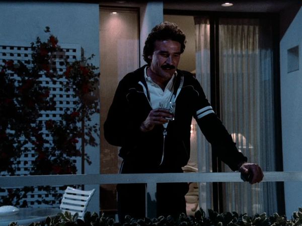 Dynasty - The Engagement