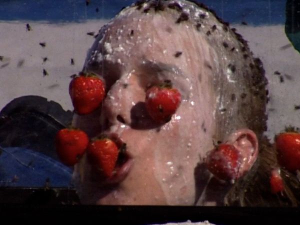 Fear Factor UK - Episode 11