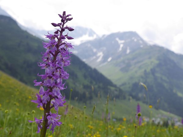 Wanderlust – Europas schönste Wanderwege - Der Saar-Hunsrück-Steig
