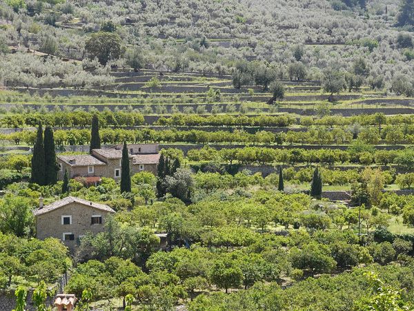 Wanderlust – Europas schönste Wanderwege - An der Amalfiküste