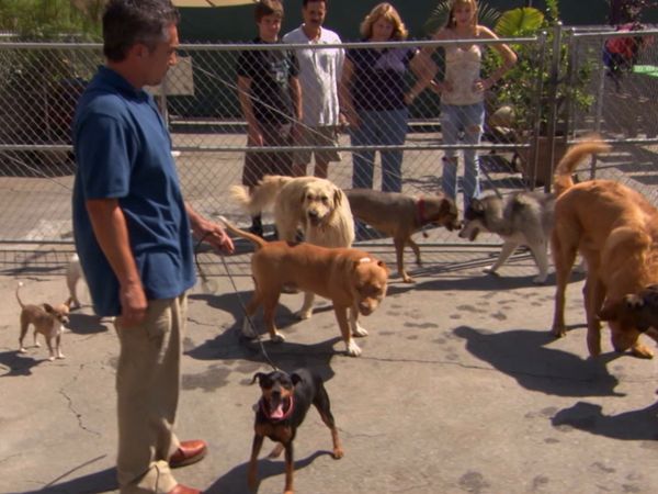 Hundehviskeren - Chip, Leo, Hank, Lucy and Betty