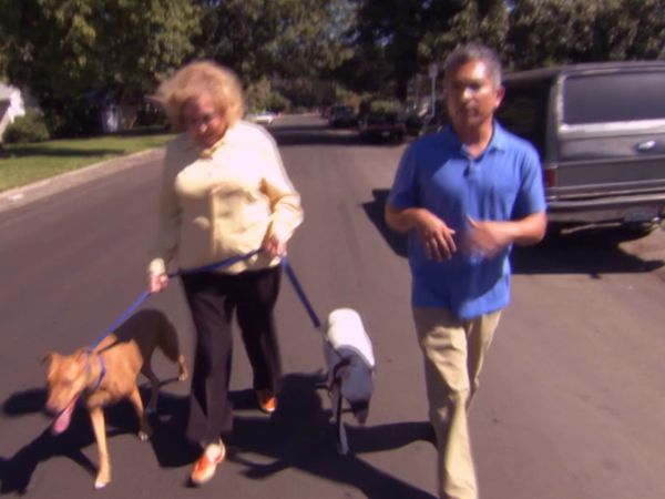 Hundehviskeren - Isis & Tina, Nugget, and the Katrina Dogs